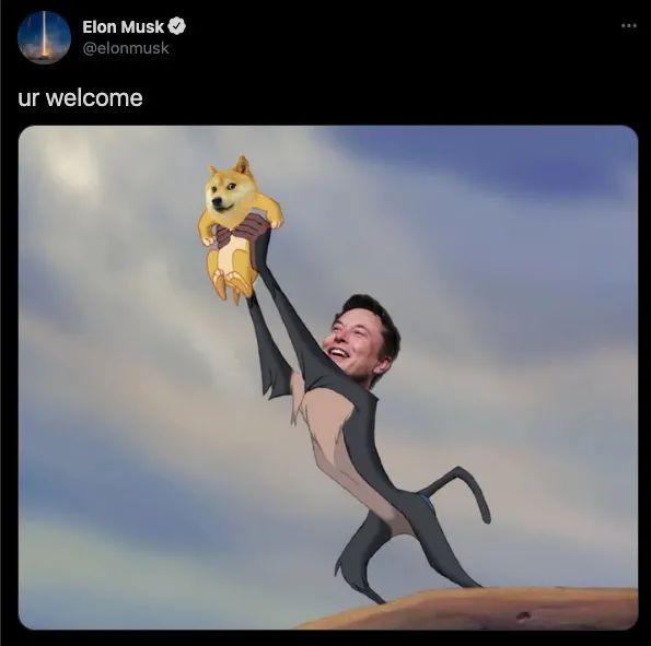 狗狗币的讨论(如何看待狗狗币大涨)