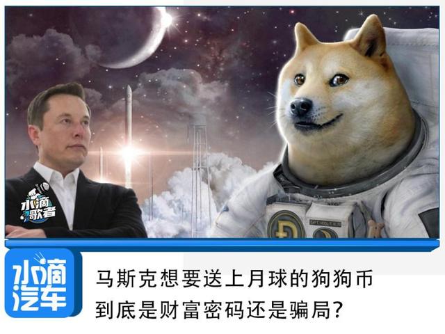 马斯克狗狗币礼物(马斯克再次发布狗狗币推文)