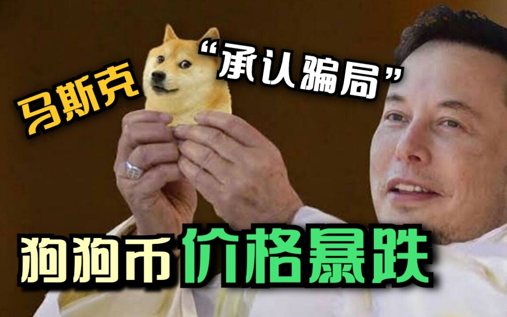 狗狗币下跌的原因(狗狗币跌了能涨回来吗)