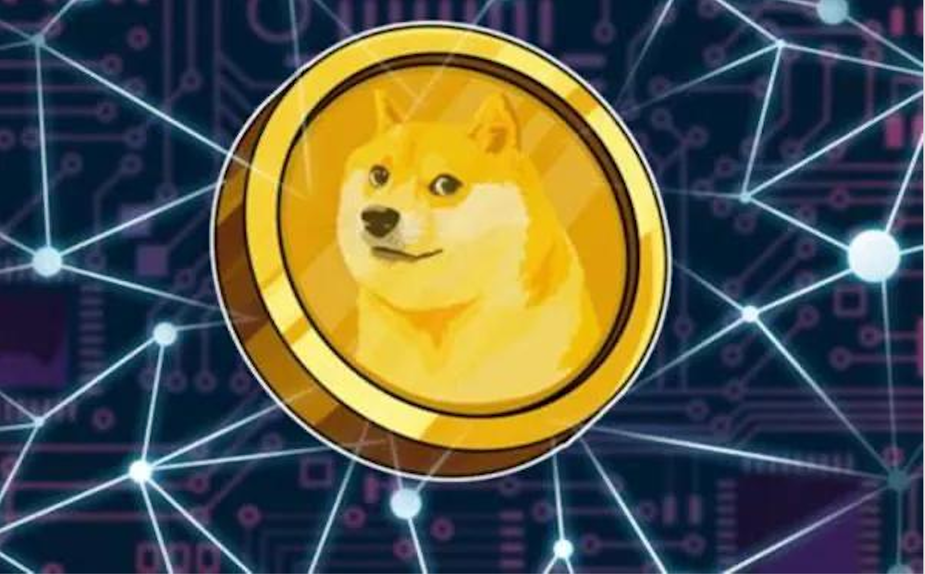狗狗币传销(狗狗币暴涨的真相竟是传销组织在作怪)