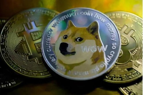 狗狗币传销(狗狗币暴涨的真相竟是传销组织在作怪)