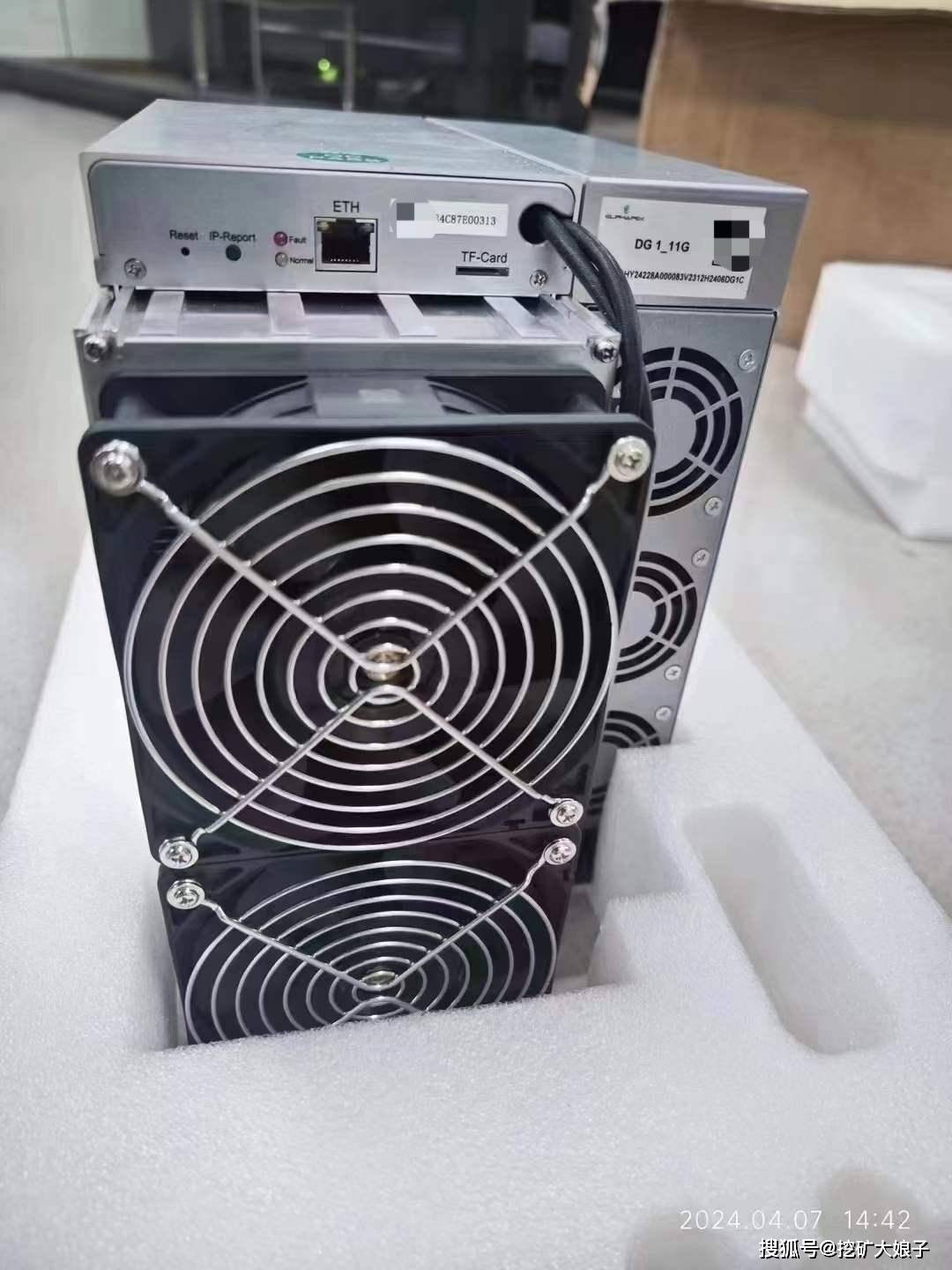 狗王币和狗狗币区别(狗王币和狗狗币区别图片)