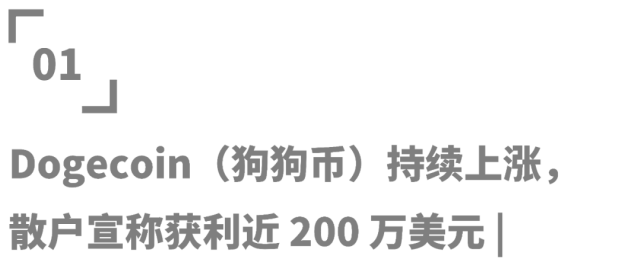 狗狗币有可能涨到2块吗(狗狗币可能涨到100元吗)