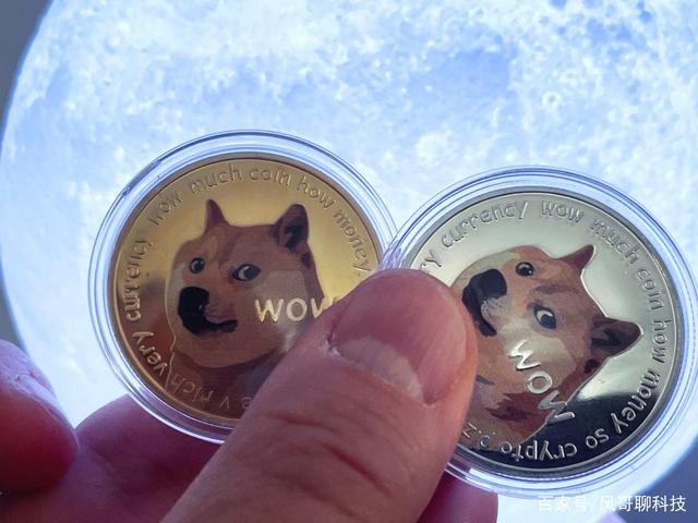 狗狗币和h(狗狗币和柴犬币哪个更有未来)