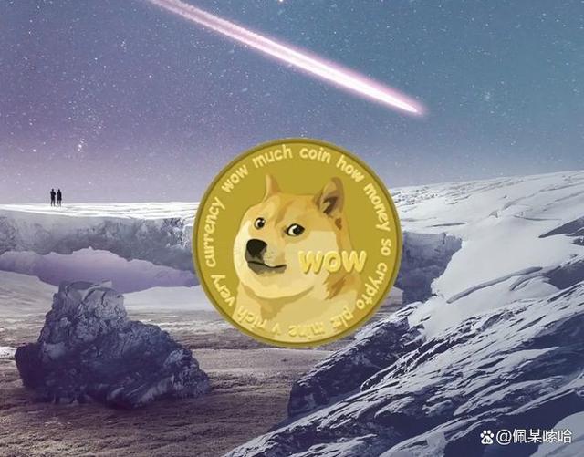 狗狗币每年增加数量(狗狗币一年涨幅超400倍)