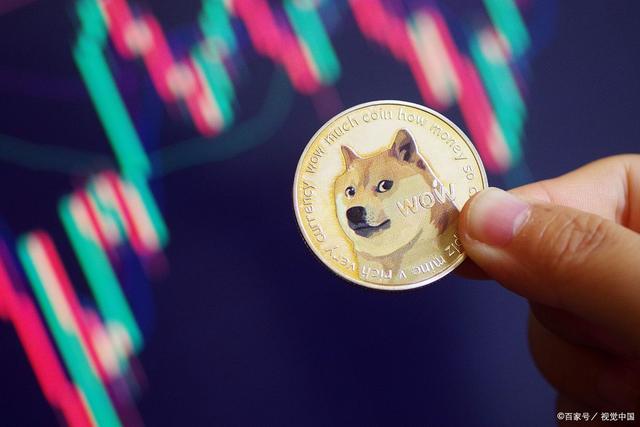 狗狗币去年价格(狗狗币去年到今年涨了多少倍)