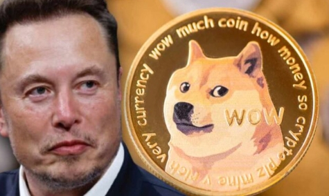 狗狗币长期(狗狗币永续是什么意思) 狗狗币长期(狗狗币永续是什么意思)