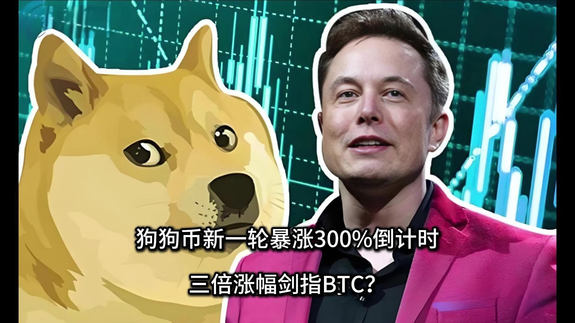 狗狗币历史最高价格(狗狗币历史最高价格人民币)