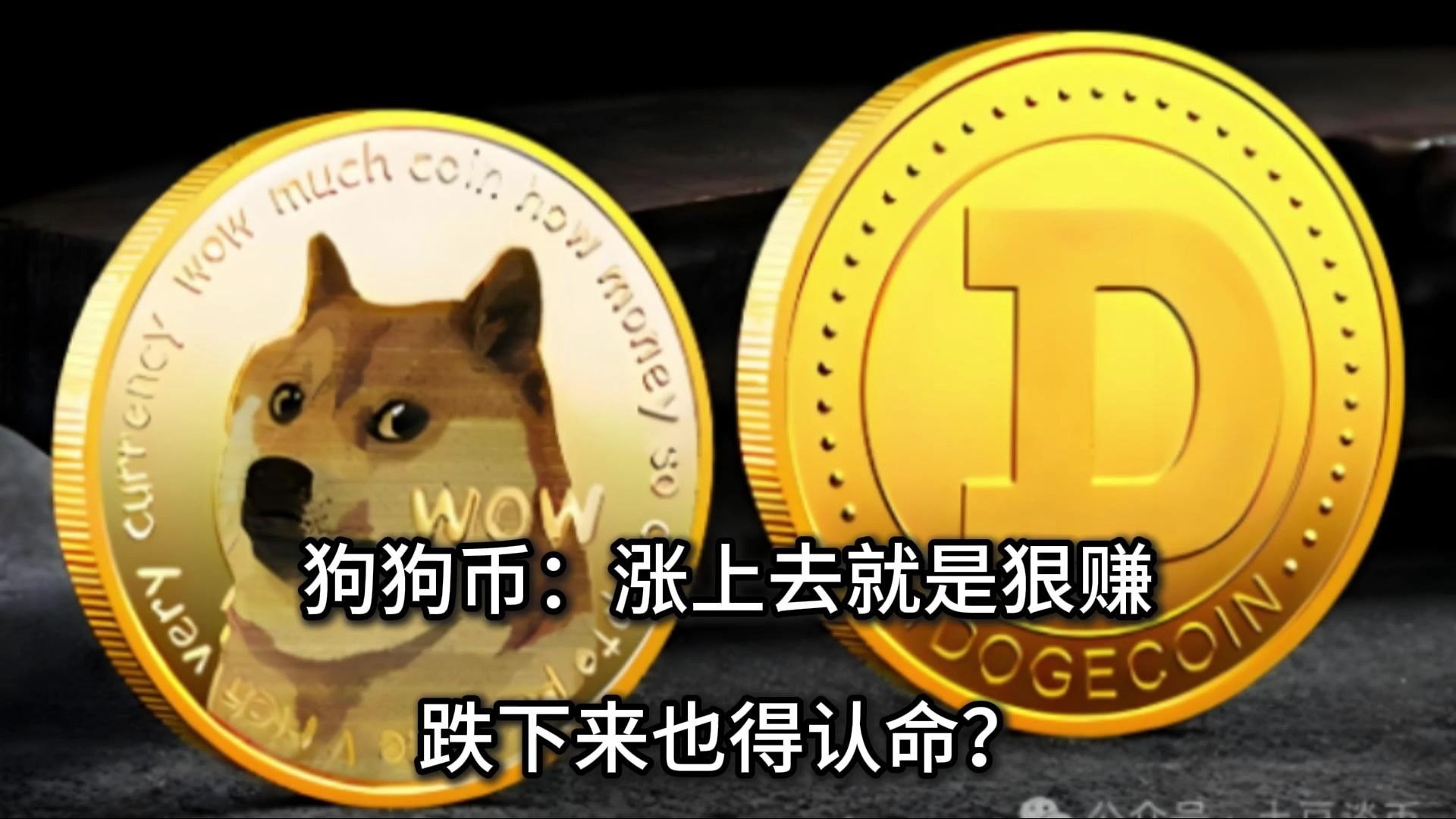 狗狗币涨了多少钱(狗狗币价格涨了多少倍) 狗狗币涨了多少钱(狗狗币价格涨了多少倍)