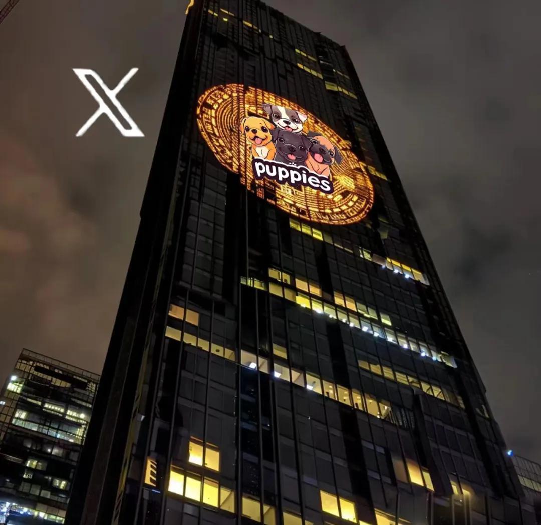 狗狗币和h(狗狗币和人民币对照,给狗狗比多少钱?)