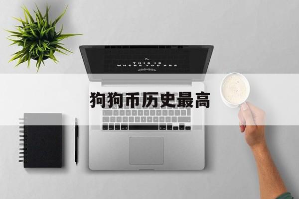 狗狗币历史最高(狗狗币历史最高位)